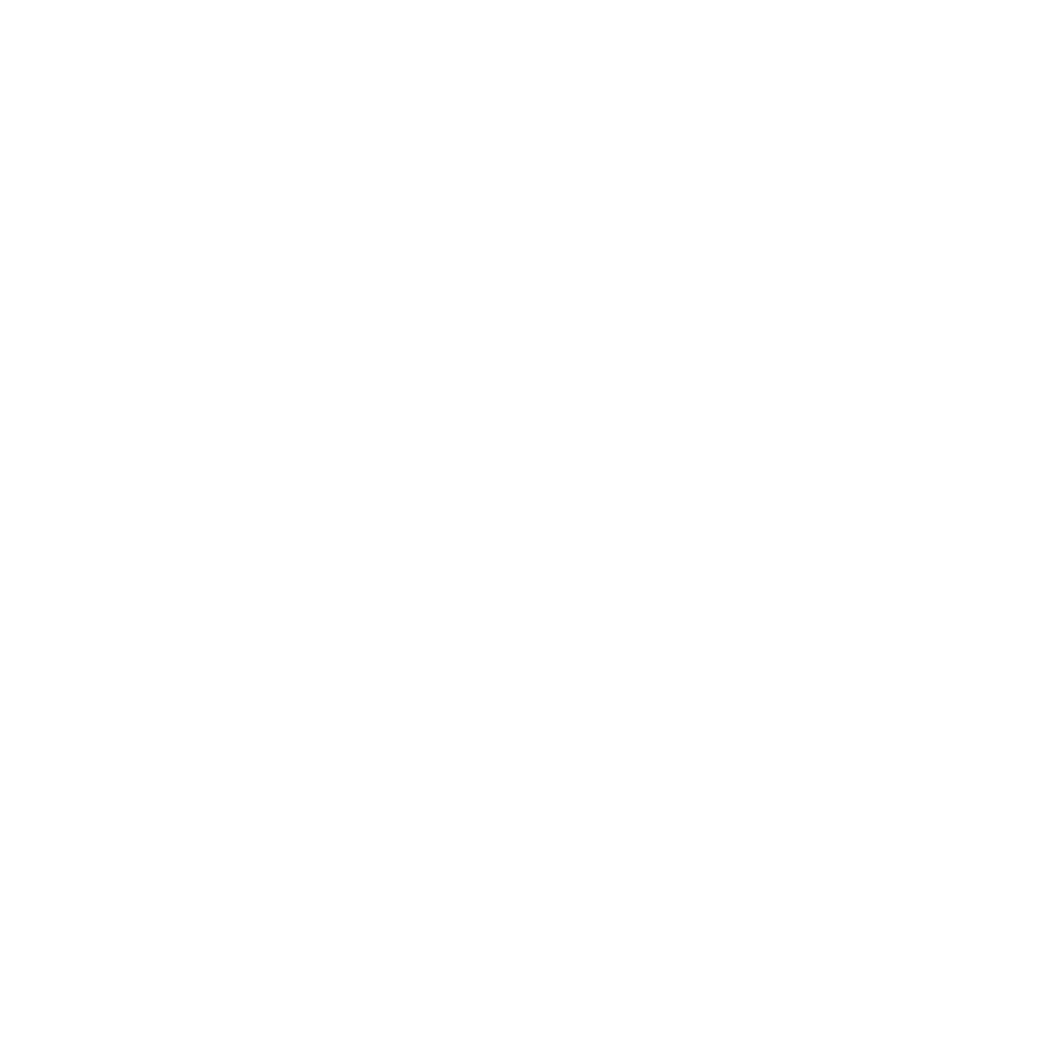 ML_Group_Logo_Weiß