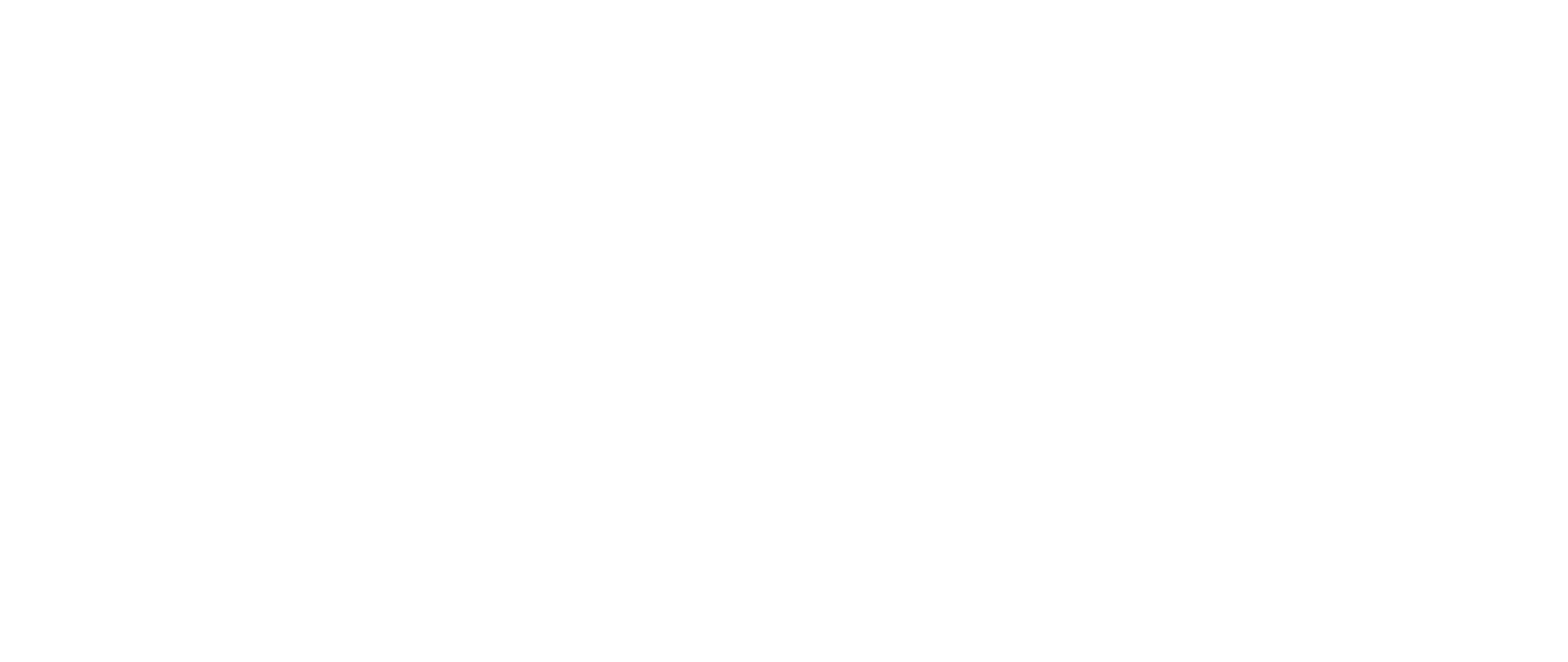 IFS_Logo_Weiß