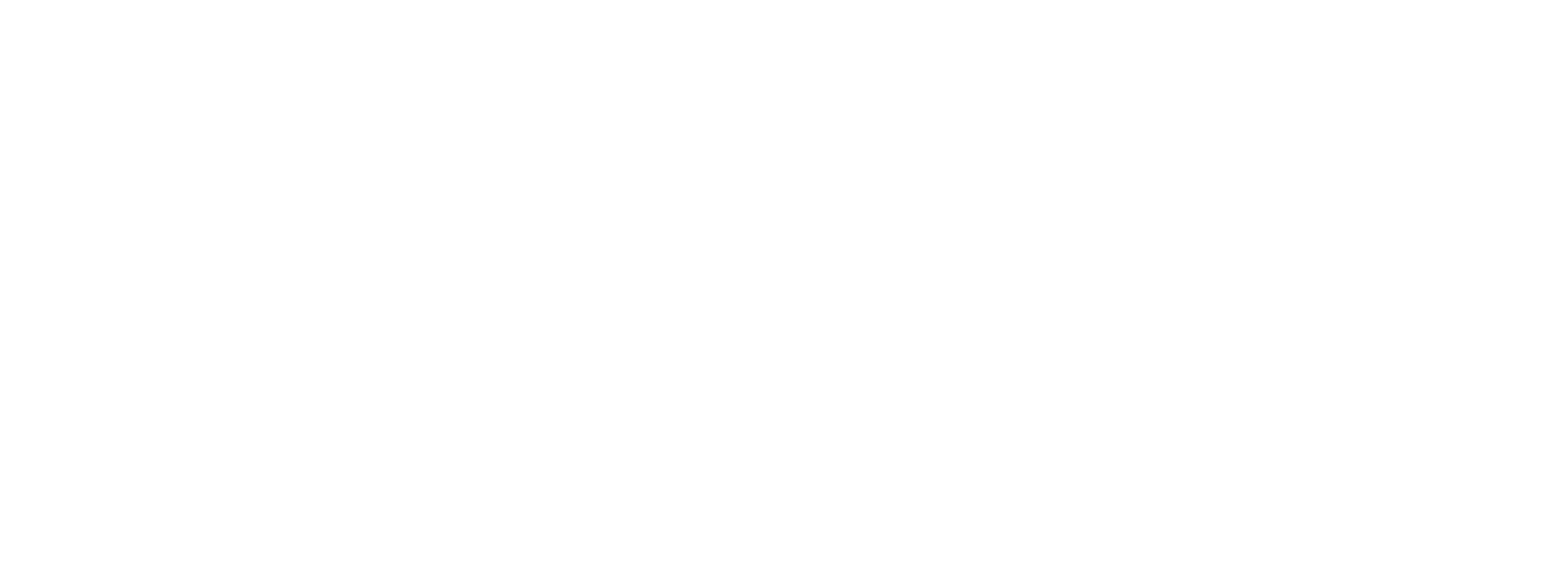 NetApp Prestige Partner